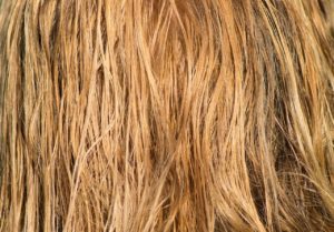 髪の毛なみなみの原因とは アホ毛 波状毛 の対策 対処法 つくし屋