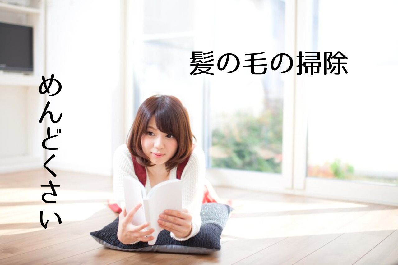 髪の毛の掃除ってめんどくさいですよね でもこれがあれば簡単便利 場所別おすすめお掃除グッズ つくし屋