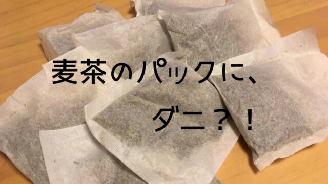 スライムの作り方と遊び方 安全 ホウ砂なしのアリエールを使った方法とホウ砂ありの作り方 つくし屋