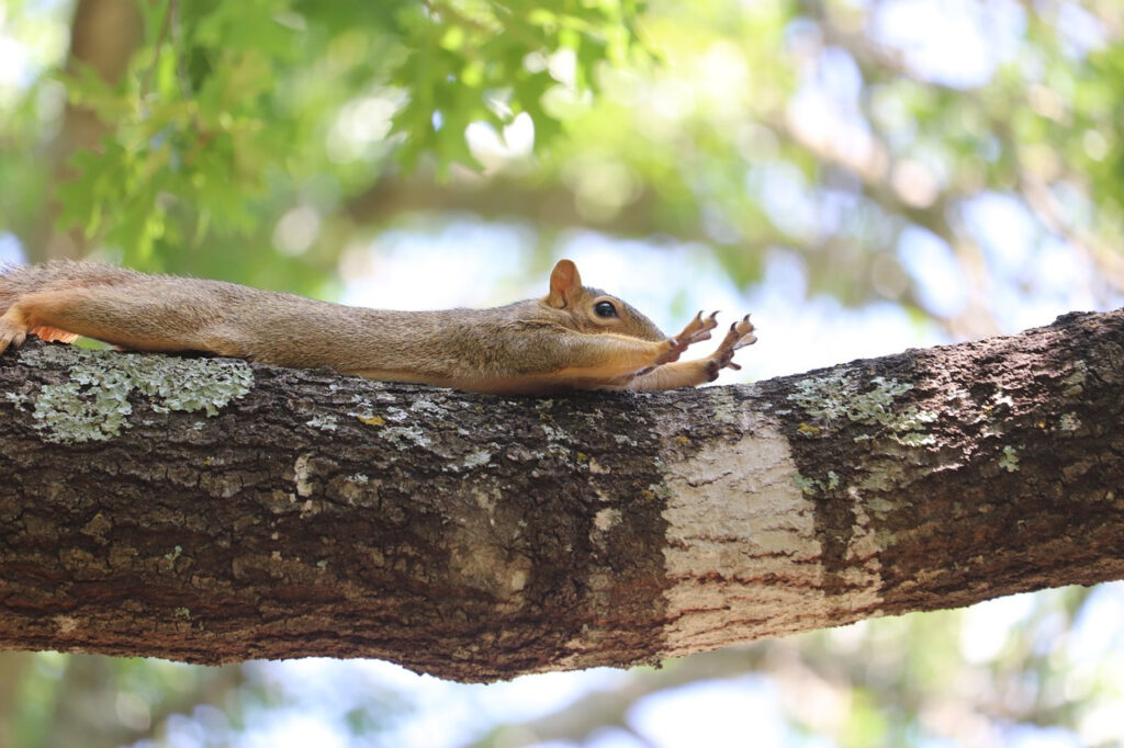 腕の長さの平均はどれくらい どこからどこまで 男女の目安や測り方 つくし屋