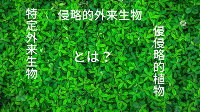 茶色の作り方 何色と何色を混ぜればいい その他のわかりにくい色の混ぜ方もこうです つくし屋