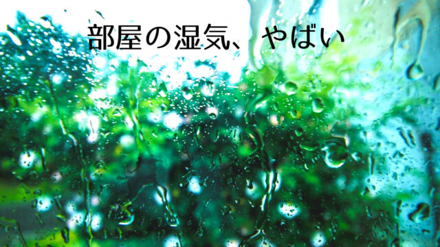 部屋の湿気がやばい たまりやすい ひどい こんな部屋の原因やおすすめの対策と湿気取りの効果をご紹介 つくし屋