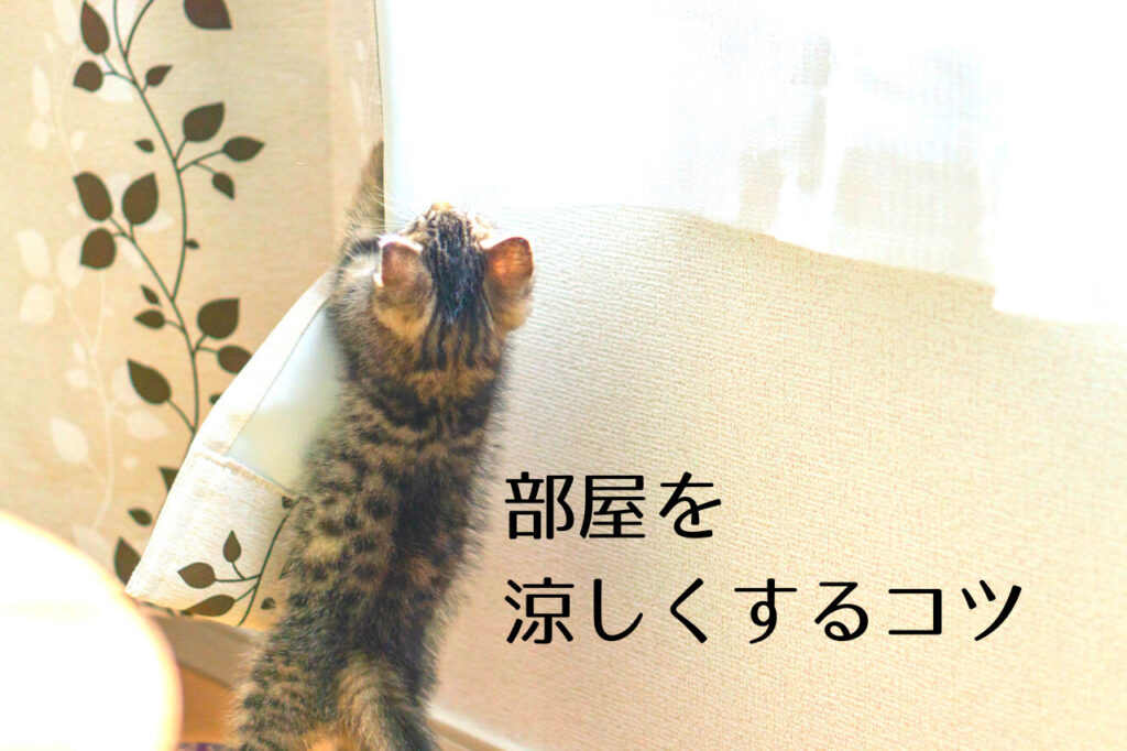 クーラーの代わりになる家電は また それらが無い部屋を涼しくする方法は 冷風機の効果ってどれくらい つくし屋