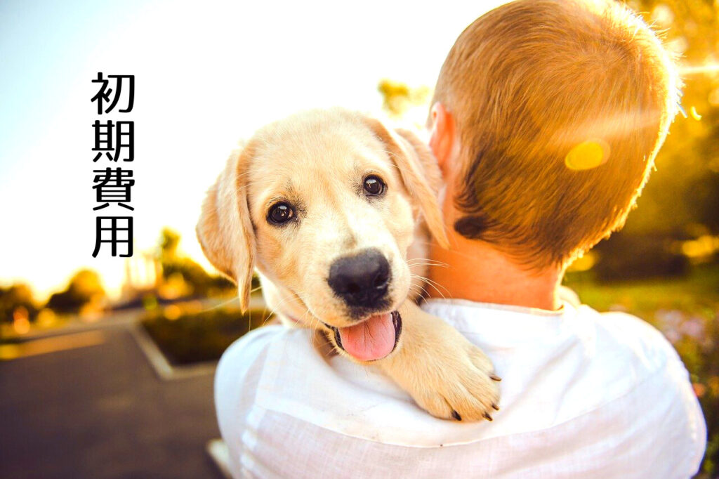 お金がないのに犬を飼う どれくらいかかる 経済力は必要 ペットを飼うとできなくなることとできること つくし屋