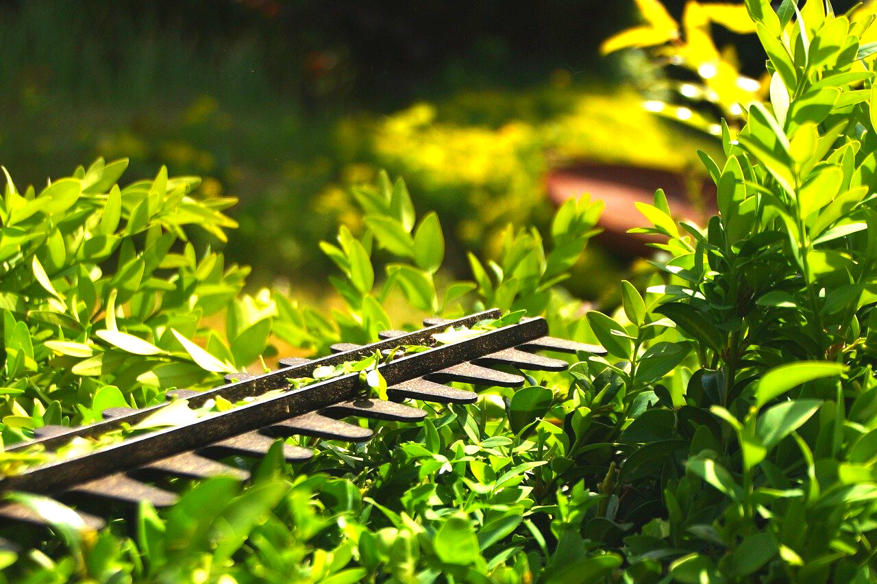 蛍光灯をおしゃれにする方法 むき出しでカッコ悪い状態からアレンジして変身 つくし屋